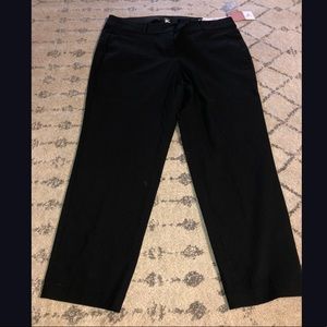 Lane Bryant 18 “The Allie” Pants